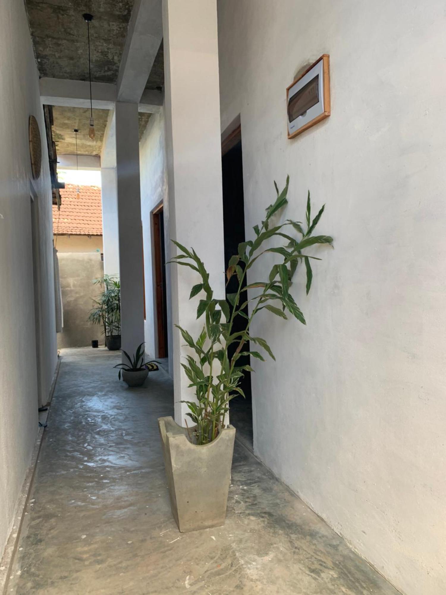 Hotel Salty Fish Mirissa Exterior foto